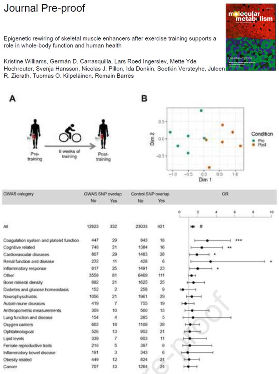 Satchin Panda (@satchinpanda) on Twitter photo By combining genomewide histone modifications, gene expression and disease GWAS loci in muscle samples from sedentary or endurance trained men, this study in <a href="/MolMetab/">Molecular Metabolism</a> links exercise to reduction in risk for multiple diseases.
sciencedirect.com/science/articl… By combining genomewide histone modifications, gene expression and disease GWAS loci in muscle samples from sedentary or endurance trained men, this study in <a href="/MolMetab/">Molecular Metabolism</a> links exercise to reduction in risk for multiple diseases.
sciencedirect.com/science/articl…