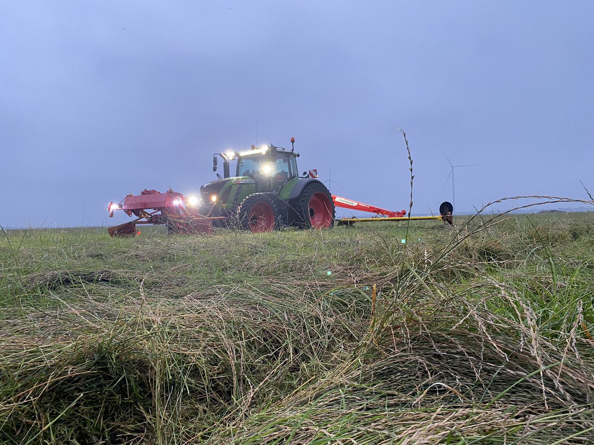BramDieleman's tweet photo. Het eerste graszaad is er weer af. https://t.co/D16zHJvuZx