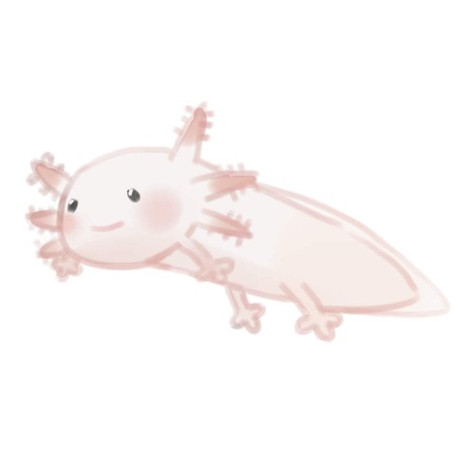 ウーパールーパーのtwitterイラスト検索結果 ウーパールーパーのtwitterイラスト検索結果