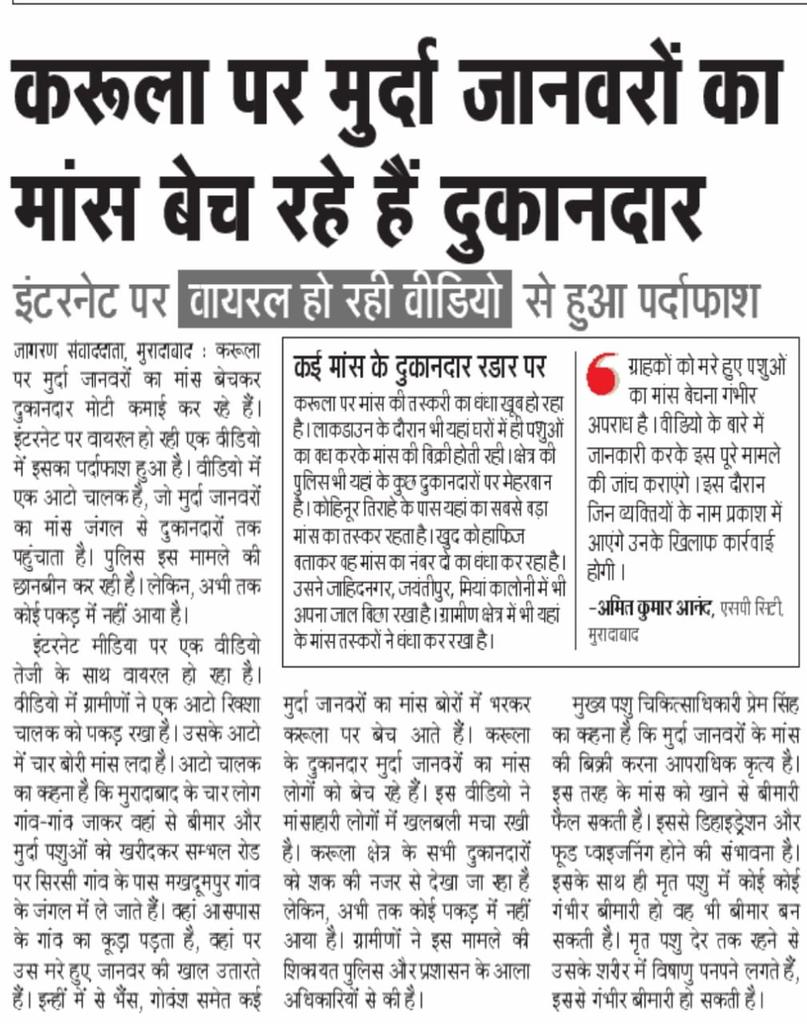 इन पर कार्रवाई तो बनती है।।।