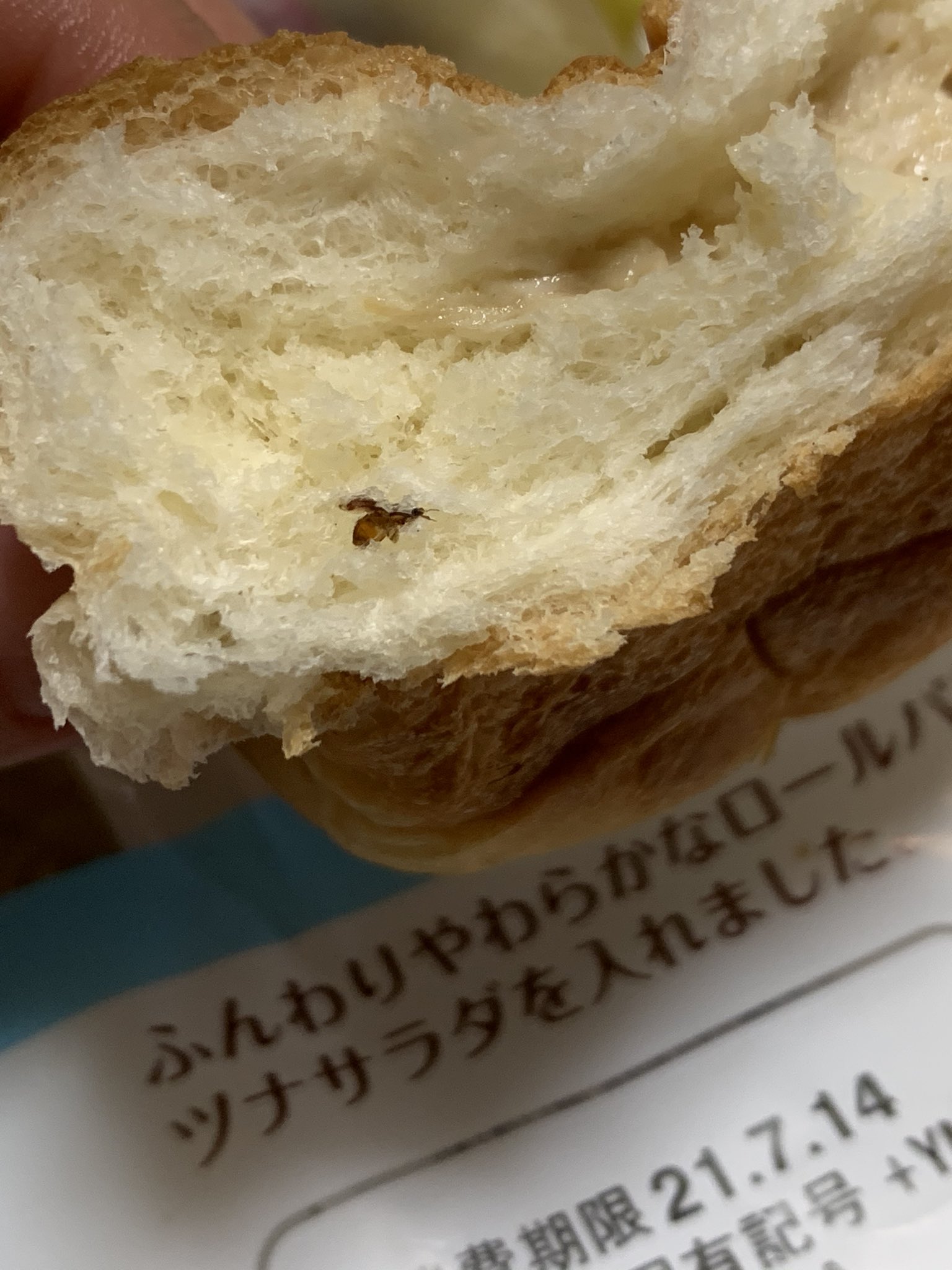 るる パンの中に虫が 子供が気付いたんだけど私は1個食べてしまったよおおおおおおおお 当分の間パン食べない 好きなのにな 軽いトラウマ 山崎製パン ヤマザキ ルヴァン ツナロール T Co Xcn6ktpjoz Twitter