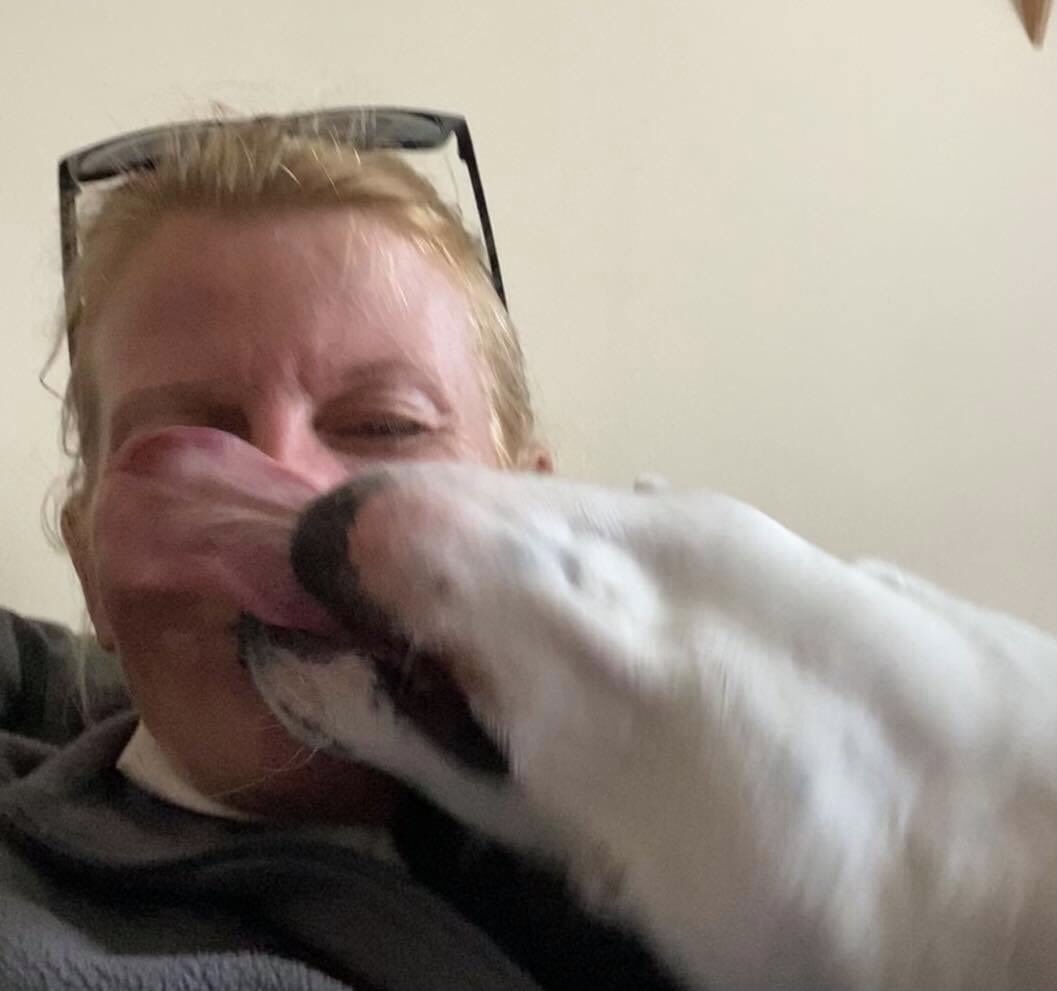 MooStaffie's tweet photo. Morning pals! Iโve got a mega #TongueOutTuesday and a bonus tiny #TeefsTuesday for you this week! And that is how much I love my dog-Walker Kerrie ๐๐๐๐ฌ๐ผ #DogsOfTwitter https://t.co/U49c6u4zFY