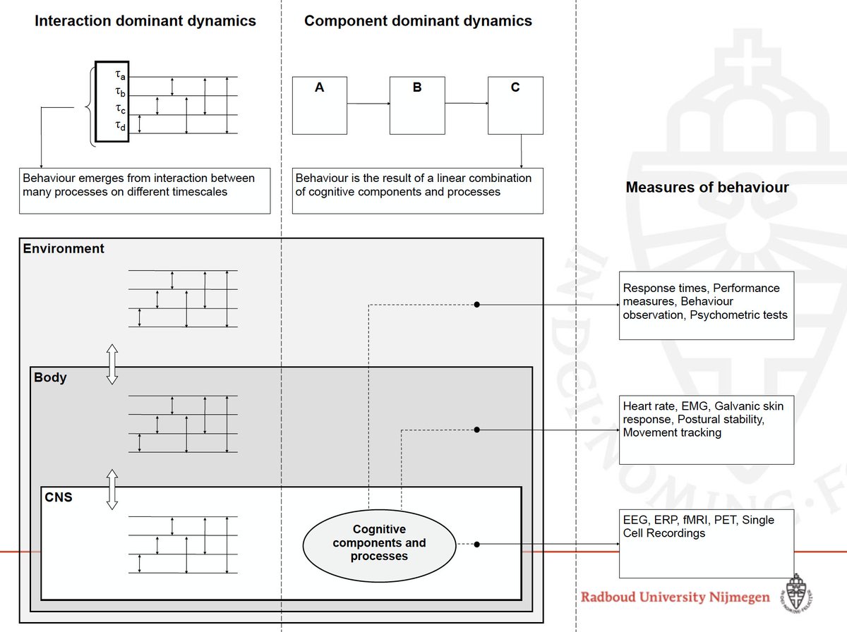 meriahdejoseph's tweet image. Just wrapped up an awe-inspiring &amp;amp; seriously cool weeklong workshop on #complexitymethods led by @FredHasselman. Esp loved nerding out w/ @isaStallworthy &amp;amp; @A_R_Palmer while watching -- it&apos;s extra exciting when you learn new methods that align so well w/ developmental theory 🤓