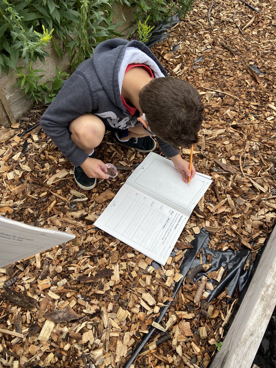 Sara Eagleton tweet media