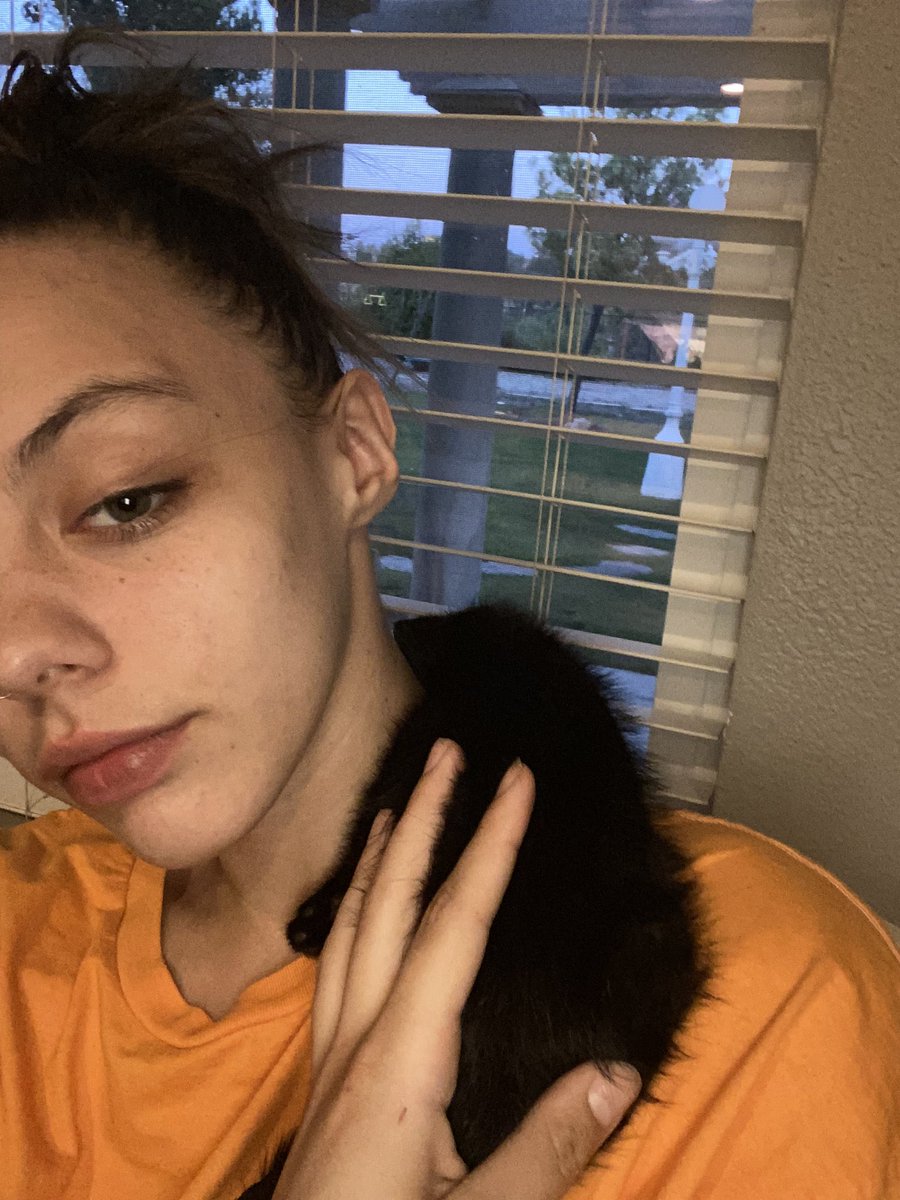 DivineNoelani's tweet photo. @paypigaddicted My kitty needs the vet and I’m homeless yes  please https://t.co/ejpoo6Hf5R