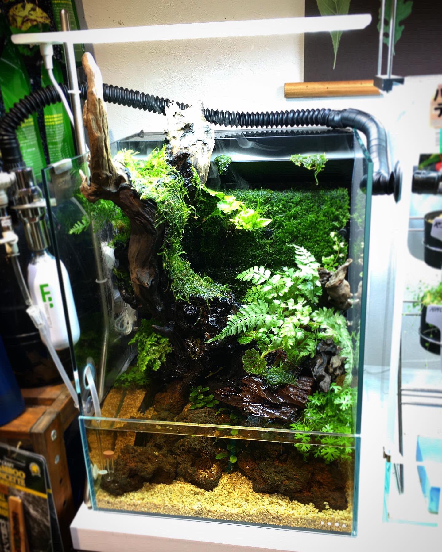 てと dooa システムテラ30 DOOA System TERRA 30 – Green Chapter