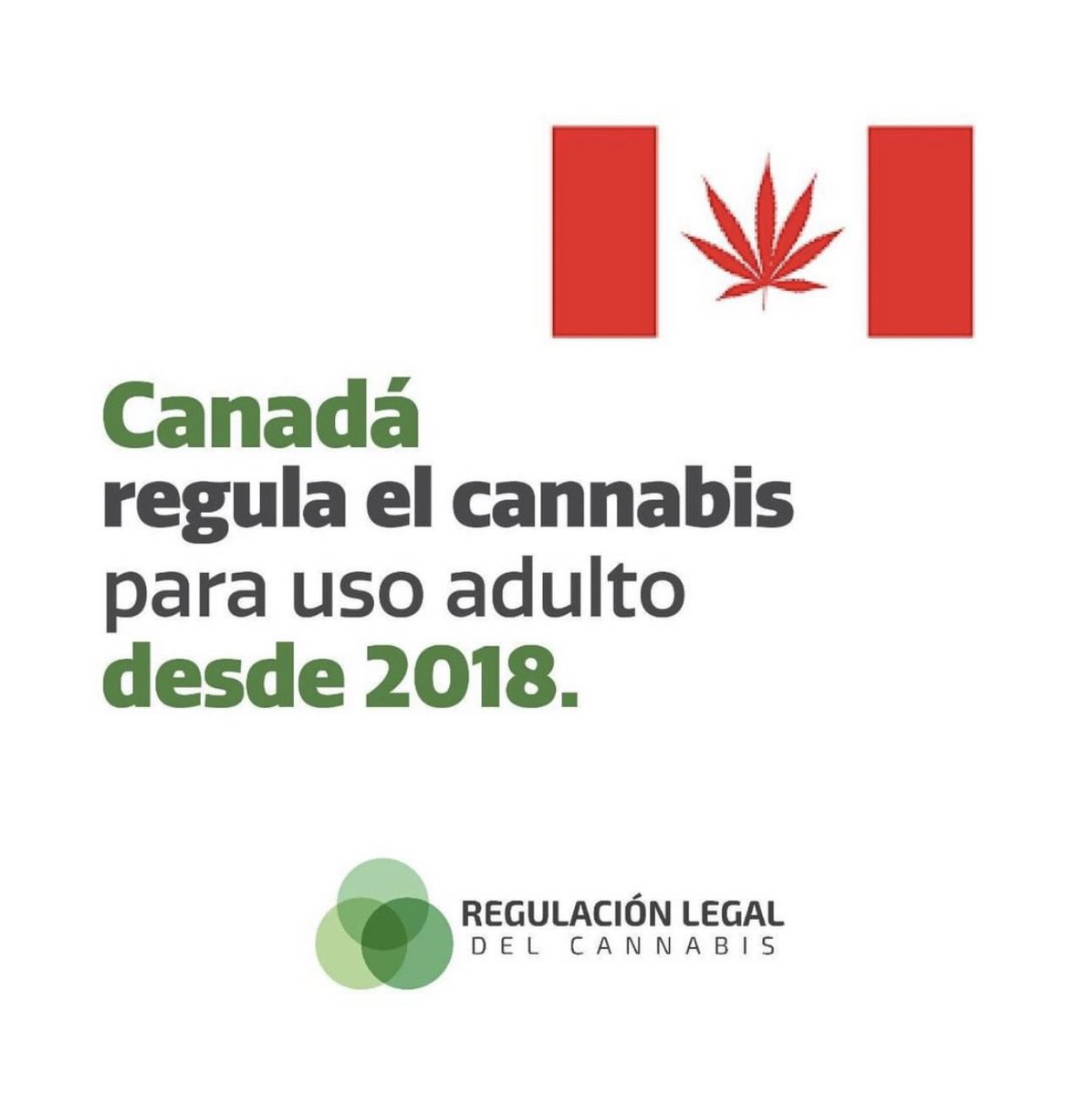 AnaMariaGazmuri's tweet photo. Hasta cuando miente el señor Montenegro? Entrega datos falsos, de muestra un botón: dice que mercado negro y consumo escolar en Canadá aumentaron, acá la verdad… y así con el resto de la entrevista. Y eso que su candidata Narváez va por la legalización 🙄 https://t.co/5BjXDw6brR