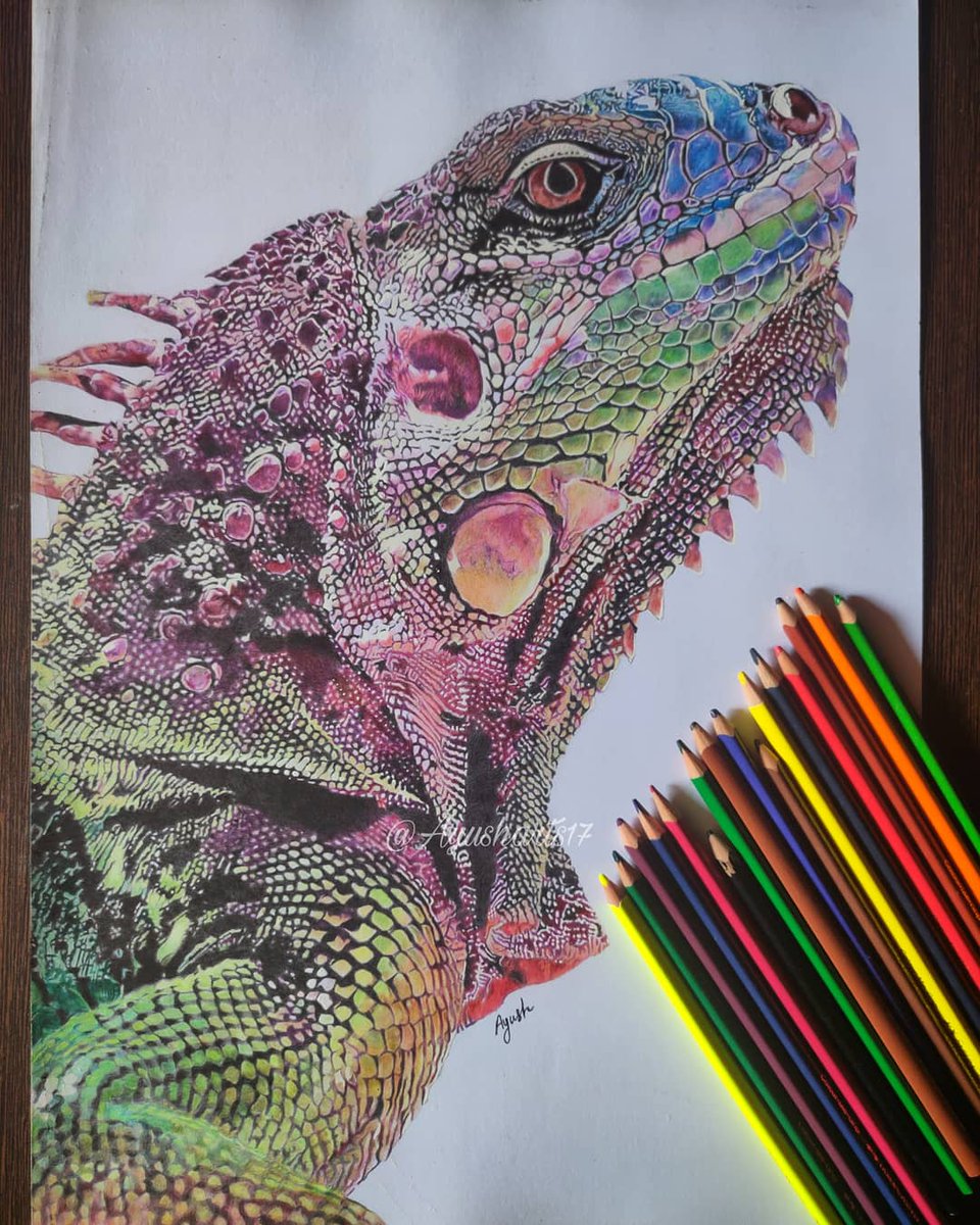 Ayusharts17's tweet image. 200 hours (1 month + 8 days)work.....Finally done๐จ
