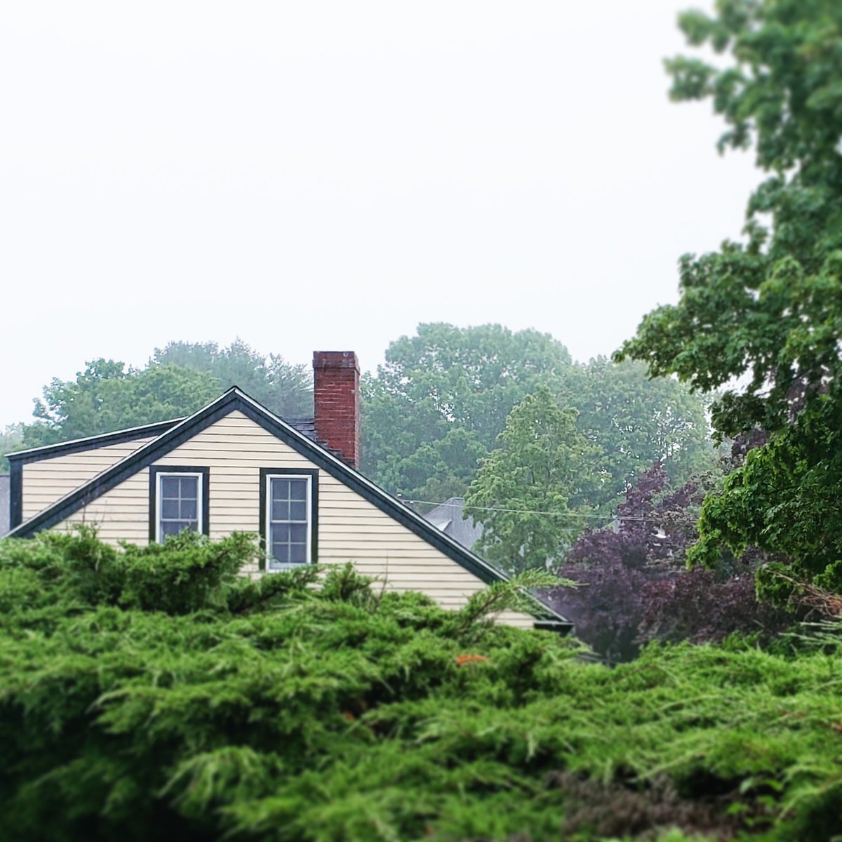 EricTaubert's tweet photo. the historic thompson farmhouse (1750) | ogunquit, maine
#TAUBERT #ThompsonHouse https://t.co/NJp0eAINgT