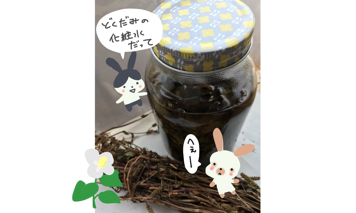 どくだみ化粧水 どくだみ化粧水