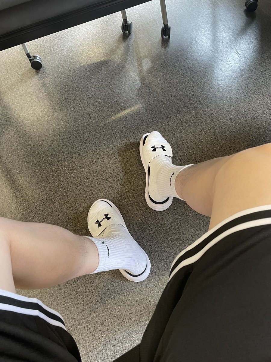 图书馆里有狗狗吗？