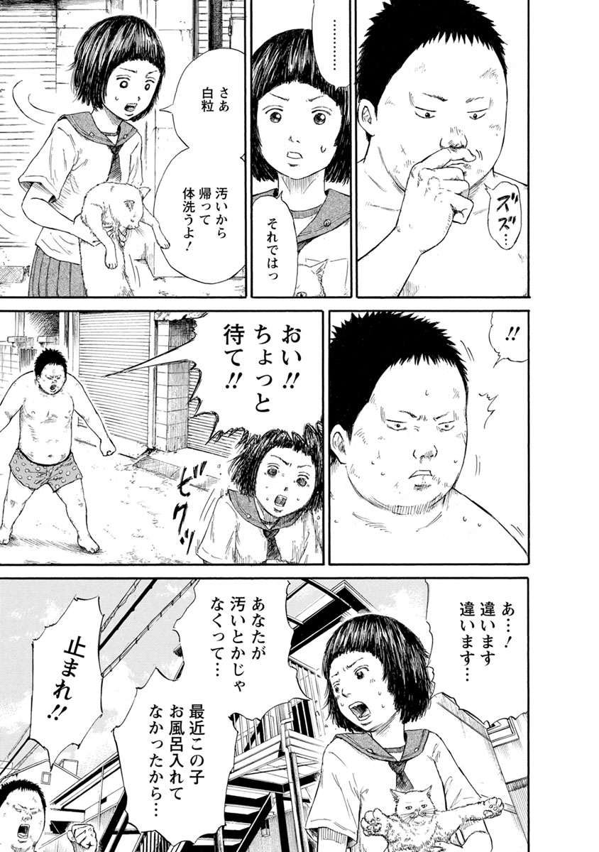 白猫と混ざった男子と蚤と混ざった女子のはなし。

(その6) 