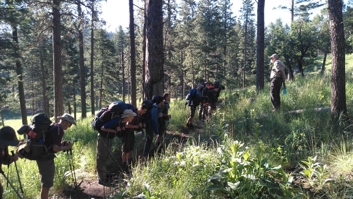 I returned to Tennessee today from my week of volunteering as a 'visiting forester' at the Philmont Scout Ranch in New Mexico. Great weather, beautiful vistas, and engagement with over 1000 scouts trekking through the demonstration forest was provided. @UTAgResearch @philmont