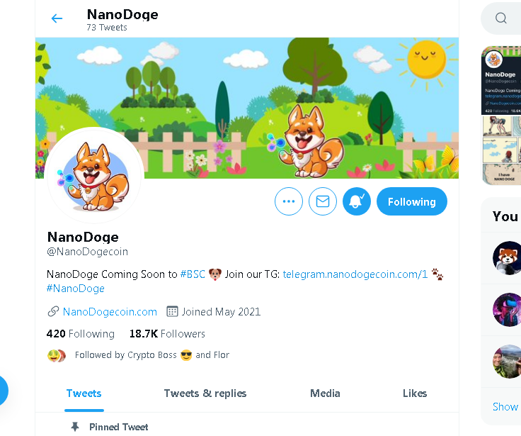 bit_Long3's tweet photo. @NanoDogecoin I really want to participate in this project. I will try my best to do something for it. I will let dozens of my Chinese communities know about this project and participate in it. https://t.co/OiZKKLvmLj