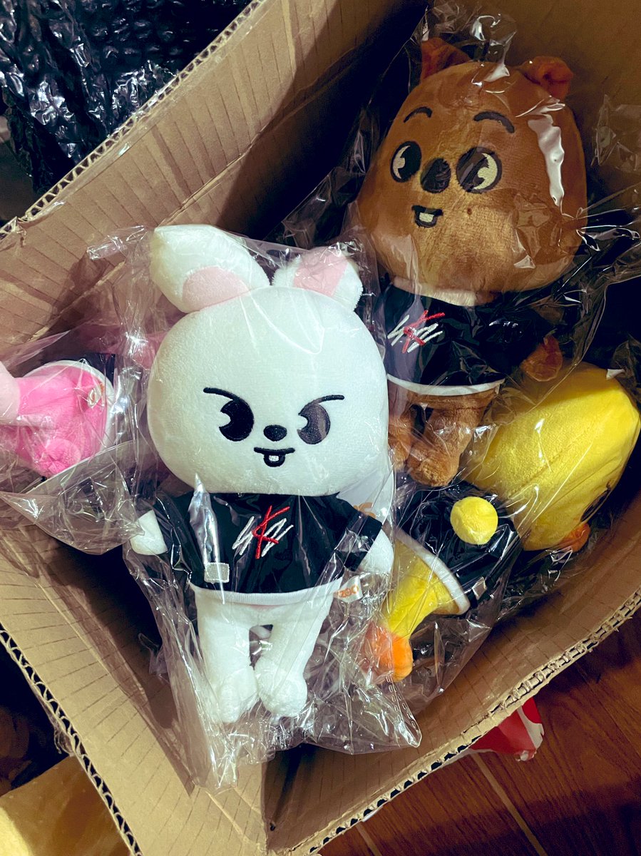stay_haera's tweet photo. They’re FINALLY Home! 🥳
thank you @koreancrazeph! ❤️

-thank you for the freebies 🌼🌸🌙 
#skzoo #skzx #StrayKids https://t.co/hIuC0yn9Ax