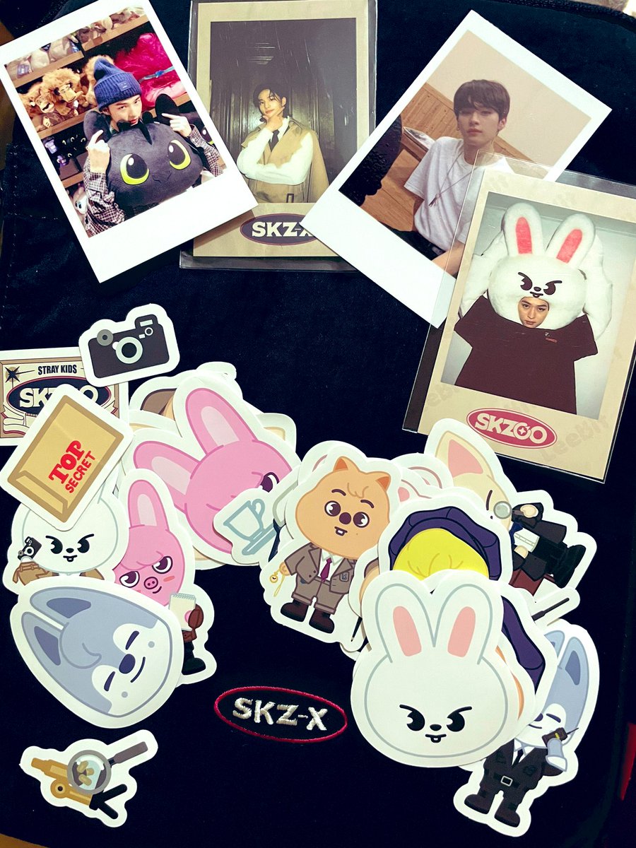 stay_haera's tweet photo. They’re FINALLY Home! 🥳
thank you @koreancrazeph! ❤️

-thank you for the freebies 🌼🌸🌙 
#skzoo #skzx #StrayKids https://t.co/hIuC0yn9Ax