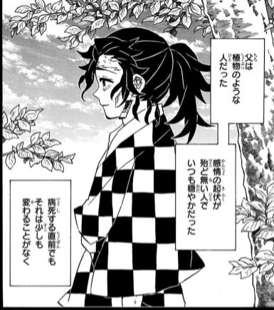 竈門炭十郎の正体は 痣の出現や強さ 名言 セリフを紹介 かえるのうた