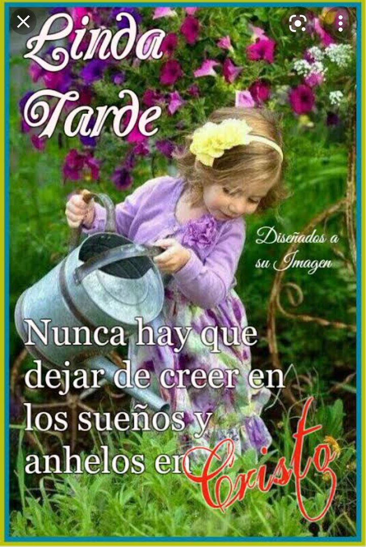 Rosafonn's tweet photo. Linda tarde 😍 https://t.co/eIS7WtDQHT