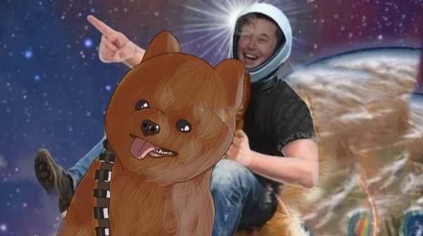 DogeWookiee tweet media