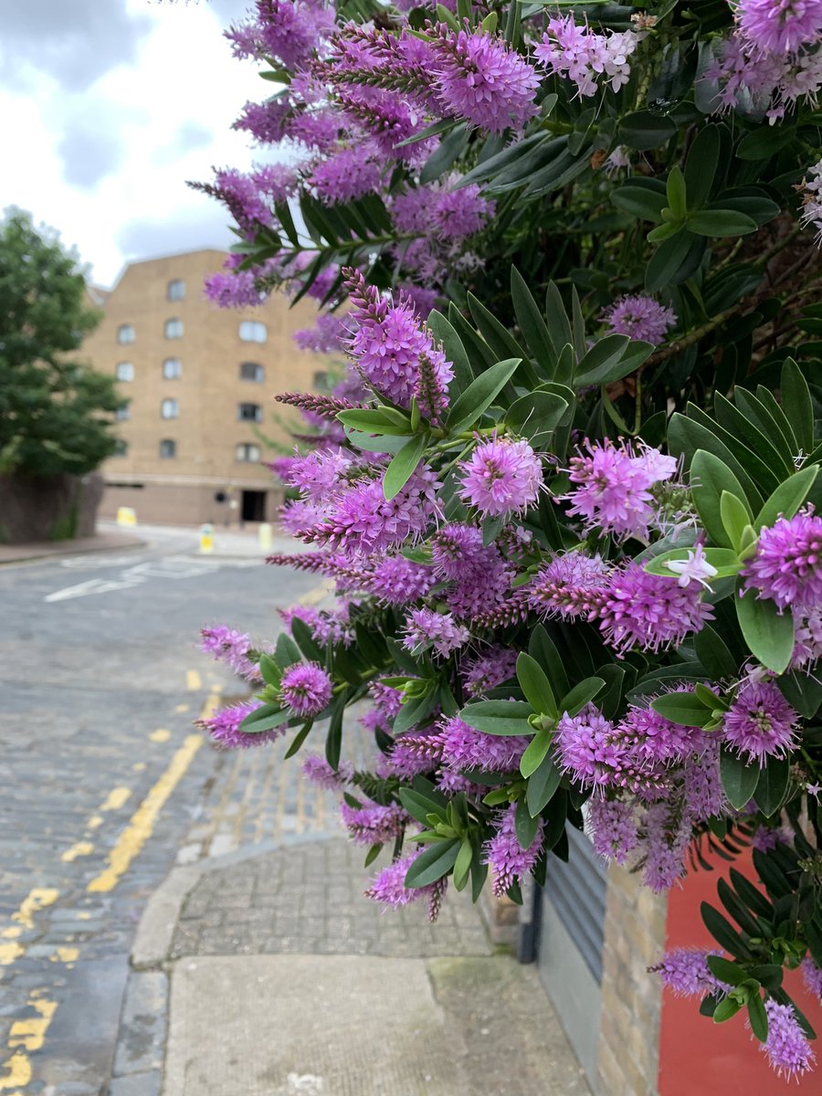 rksingh97263's tweet image. As long as there is anger, irritation, hatred, jealousy, and intolerance in you, you are like a bomb, ready to explode anytime.