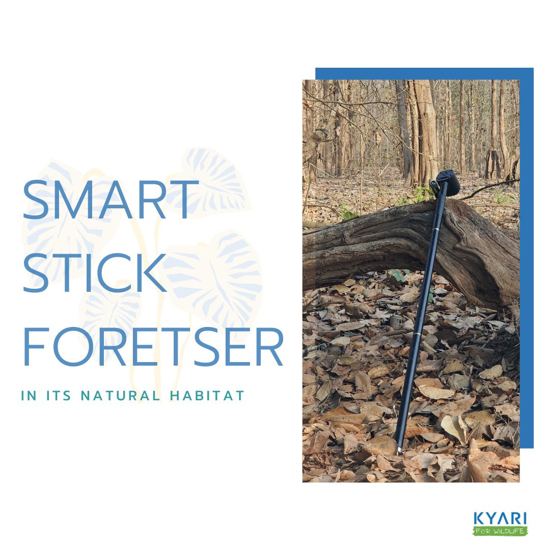 Our smart stick #MULTIPURPOSE device will not only help you TREAD THE TOUGHEST TERRAINS but will also #SAVE YOUR LIFE IN CASE OF A CRISES.
Know more: kyari.in/smart_stick/
 
#personalProtectionComesFirst #safety #personalSafety  #protection #safetyGadget #forestprotection