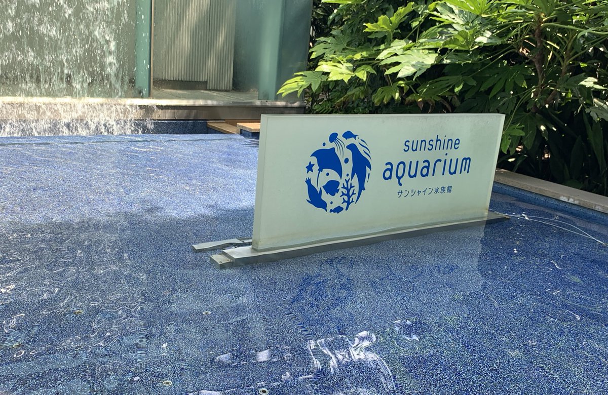sweetys0504's tweet photo. 水族館に来た٩(^‿^)۶
行ってくるね！！ https://t.co/P1sLhdBiIX
