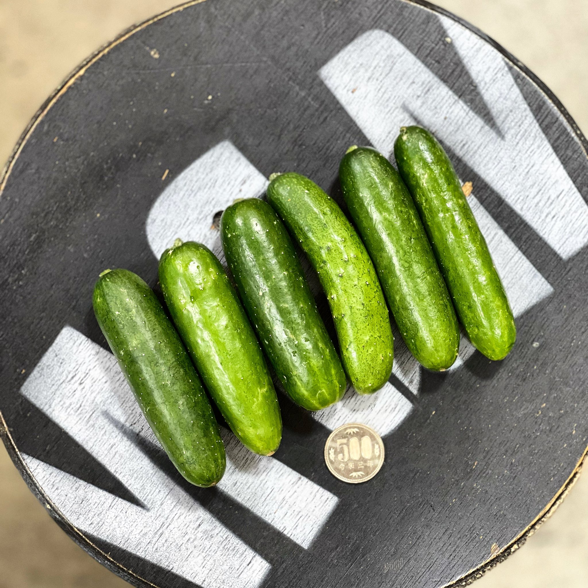 Maruto 愛知県 ミニきゅうり 天満市場 マルト商店 マルト 野菜ソムリエ 野菜好きな人と繋がりたい 野菜好きと繋がりたい 野菜好き ミニ胡瓜 ミニキュウリ 胡瓜 きゅうり キュウリ T Co Hvkbclxyqu Twitter