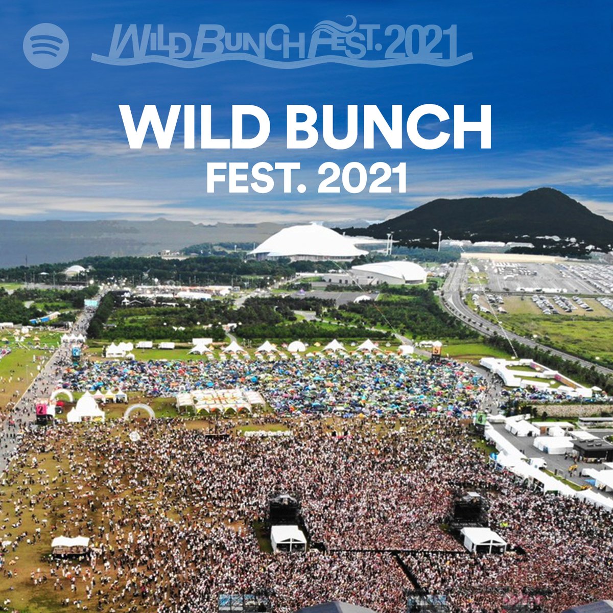 ワイルドバンチフェス2024 8月23〜25日 3日通し券 音楽フェス 