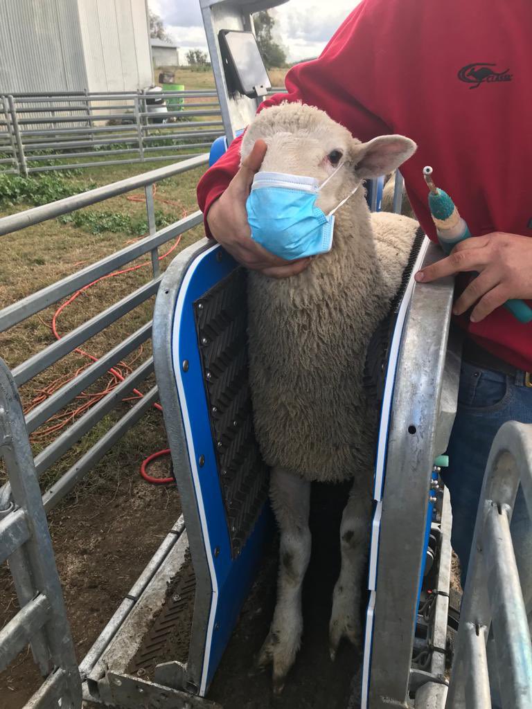 Dad’s a little puzzled where to from here <a href="/GladysB/">Gladys Berejiklian</a>?