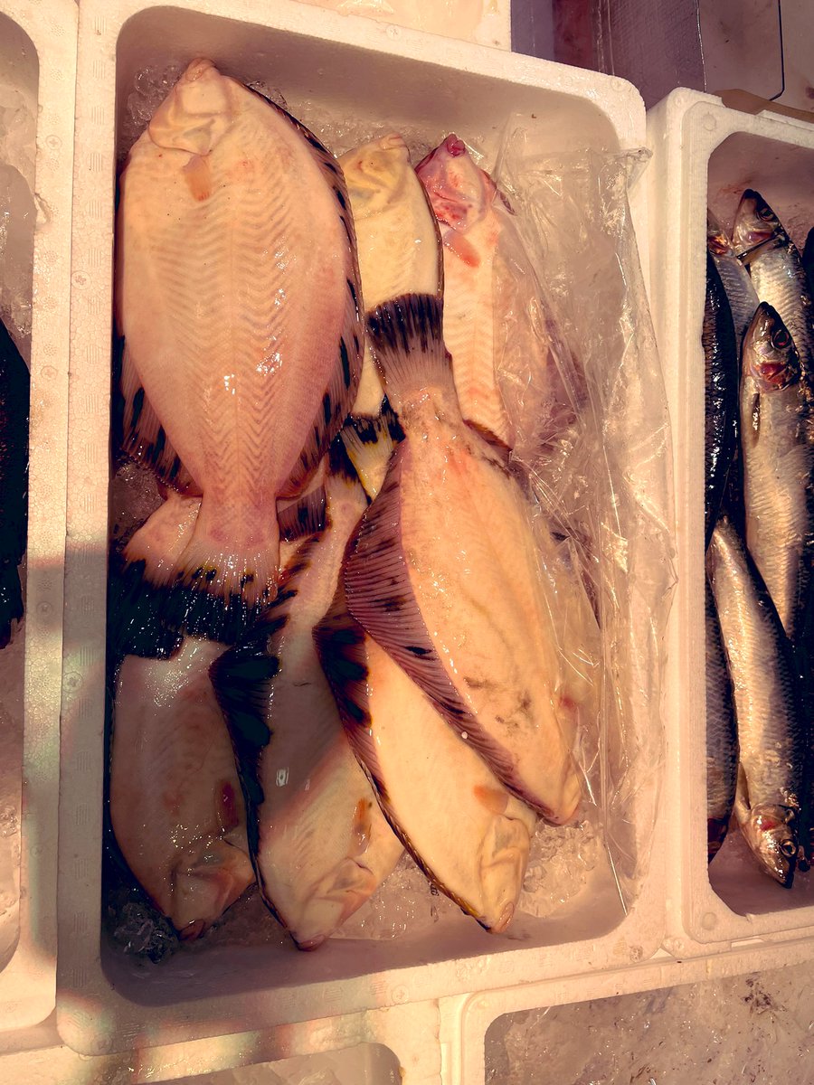 夏本番になってきました今日も暑いですねー😅
夏と言えば、紋別カレイの時期ですね😀今日は身が激厚のクロカレイが入荷しました。
煮付けにすると最高ですね。
でもガスコンロを使うのは暑いかな〜😅
＃共栄市場 ＃ことに ＃紋別カレイ