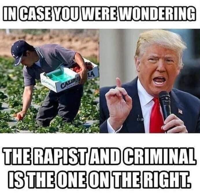 Solis4Ca's tweet photo. #BrownIssues
#WeFeedYou
#AmericaIsImmigrants
You love the services we provide, but can't respect the people who deliver them. 🇺🇲 https://t.co/rpkMvrFcmD