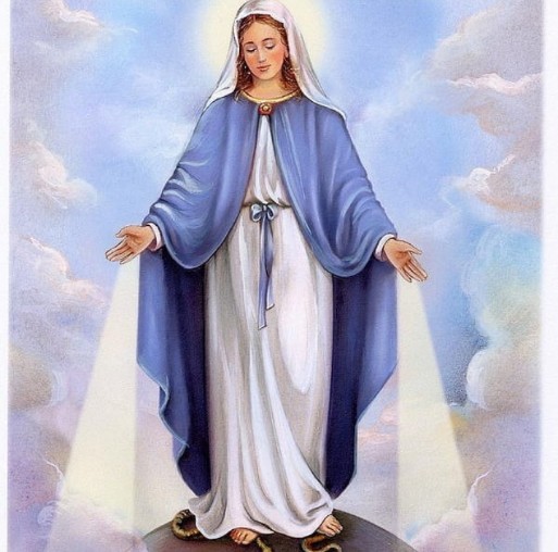 lolooge's tweet photo. We fly to thy patronage, O holy Mother of God; despise not our prayers in our necessities, but deliver us always from all dangers, O glorious and blessed Virgin. Amen.’

Aveeeeeeeeeeee 🕊️
Mariaaaaaaa https://t.co/cZWHxijU8i