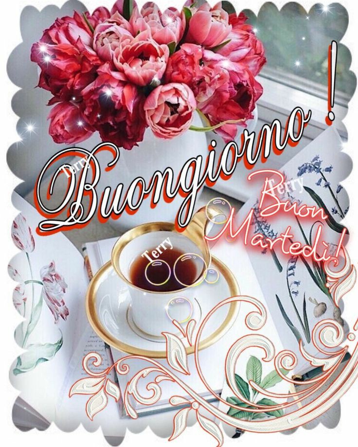 Buona giornata a tutti tutti 🌹🌼🏵️❤️