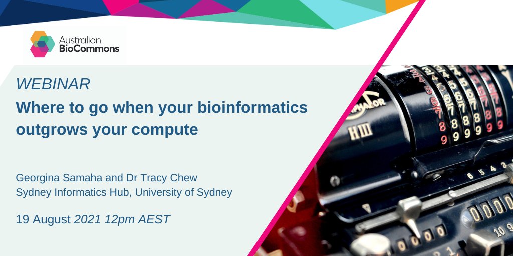 AusBiocommons's tweet photo. Has your #bioinformatics outgrown your local compute? 

Join @Sydney_SIH to learn about the resources that can help take your bioinformatics to the next level.

Featuring @PawseyCentre @NCInews @GalaxyAustralia @ARDC_AU #NCRIS

12pm AEST 19 August 2021
https://t.co/sNRaHVlmqG https://t.co/R37jjvO6sK