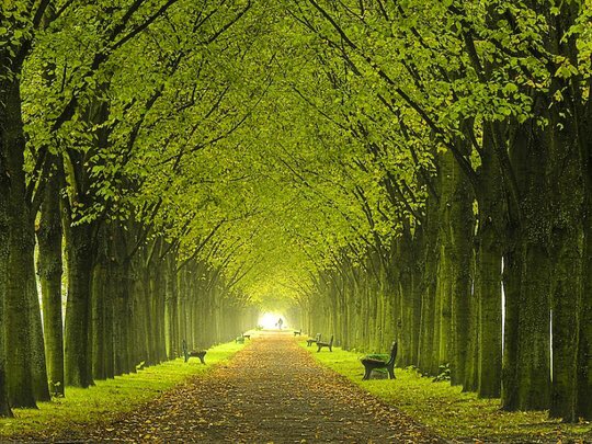 MShahrazadi's tweet image. ✍️ Life always reminds us to walk our path in balance so when people leave us, we can well endure their departure.✍️