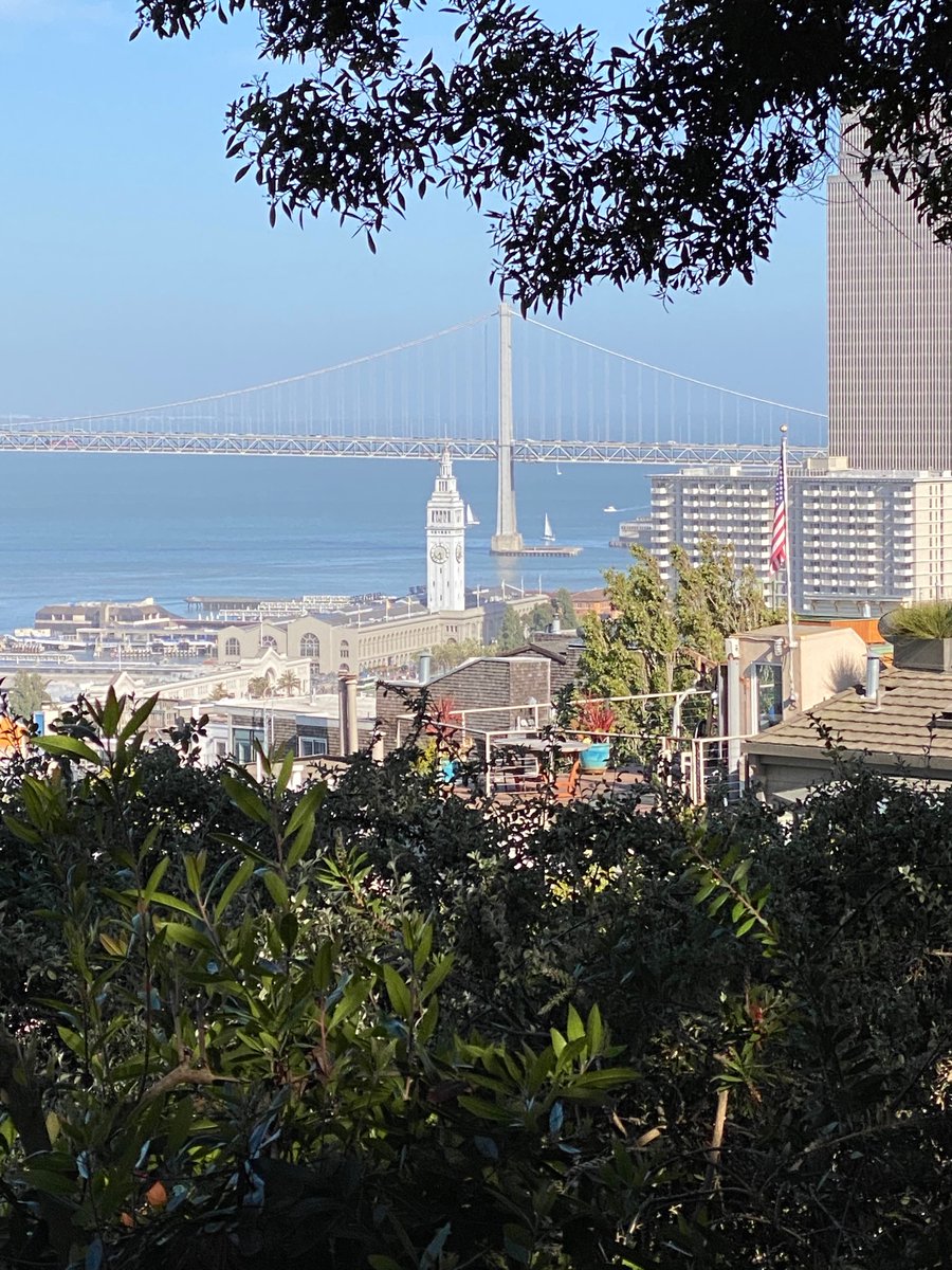 Em Berto tweet media