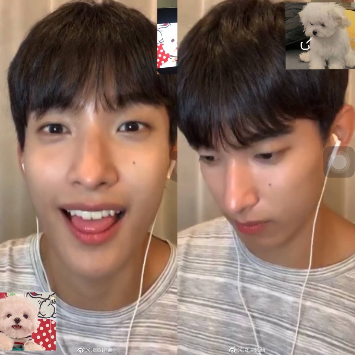 dkzones's tweet photo. dk imitating the puppy... so cute 🥺 https://t.co/WNLM5sLFs4