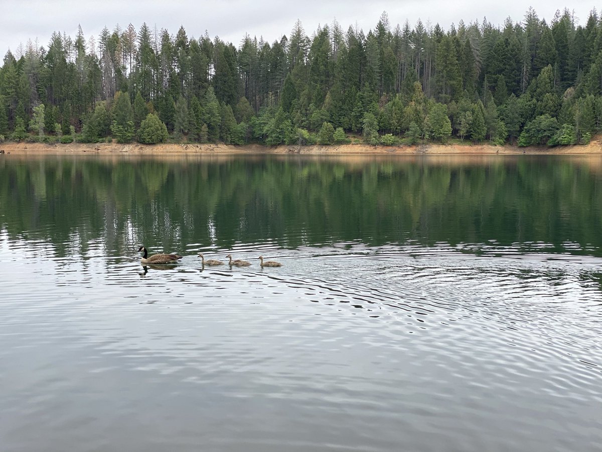 Em Berto tweet media