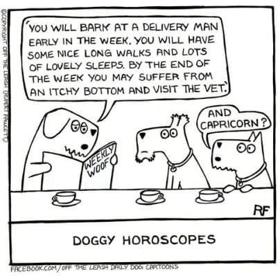 If dogs had star signs