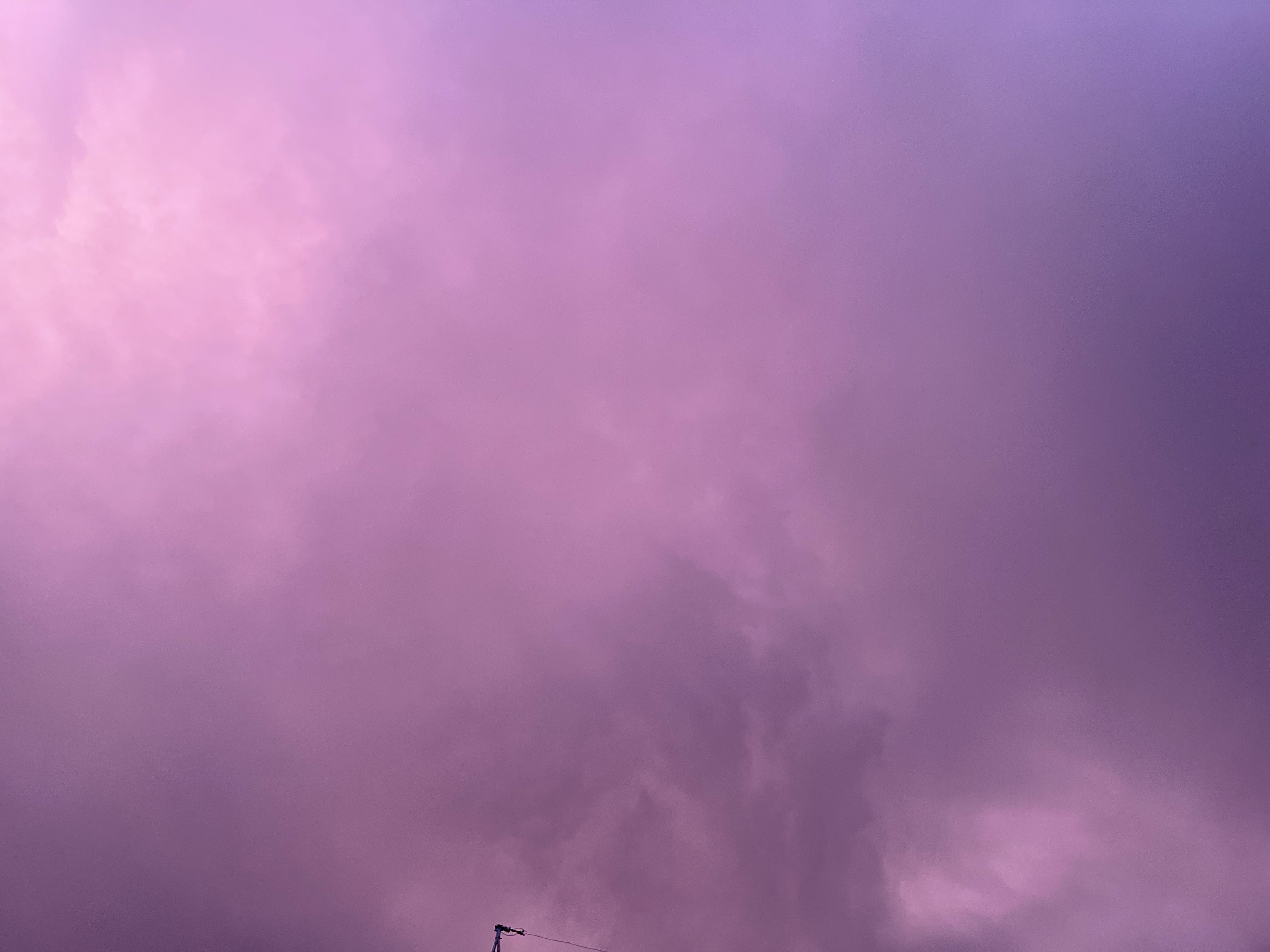 すみれ色 Twitter Search Twitter