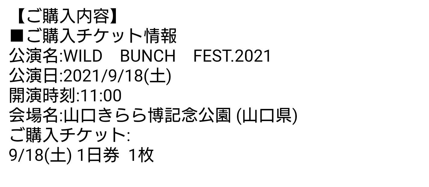 【最安値】 BUNCH(ワイルドバンチ)2021チケット WILD - 音楽フェス