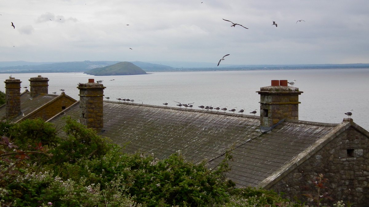 On Wednesday's edition of <a href="/onelovebrekky/">One Love Breakfast</a> our weekly chat with <a href="/MarvinJRees/">Marvin Rees</a> is a little earlier than usual - just after 8am and @IvanJacksonUK reports back from the magical <a href="/SteepHolmIsland/">Steep Holm Island</a> run by the Kenneth Allsop Memorial Trust after 9.30