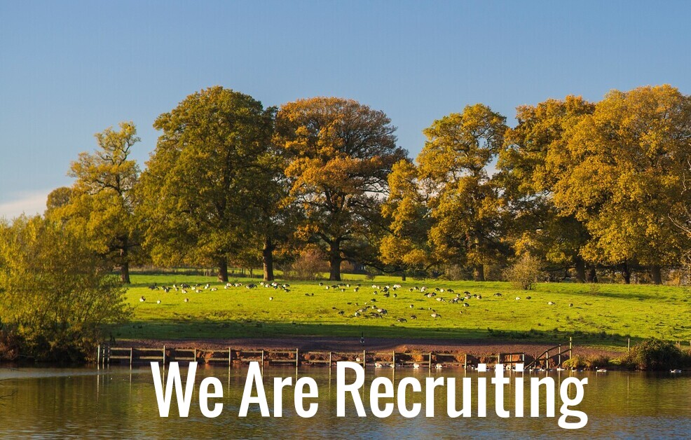 We have a vacancy within the forestry team. For more information please click on the following link shelmoretimber.co.uk/page/job-vacan…