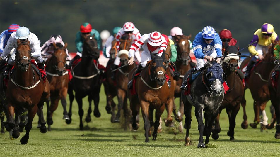 horse racing betting tips twitter