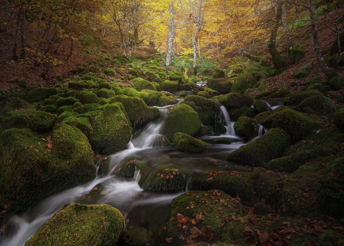 It is not what you see, it is what you feel, the moment, the place ..!
Enjoy 😎

foundation.app/@Luismasu
luismasu.myportfolio.com

@withFND #nftart #NFTCommunity #NFTdrop #nftcollector #NFTartist #NFTs #NFTartists #nft #fotos #hacerfotos #argovejo #Autumn #forest #river #water