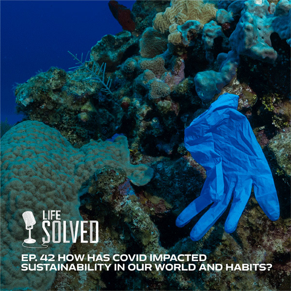 Has the pandemic caused a setback for #sustainability and the environmental crisis? From increased use of PPE such as #facemasks to changing consumer habits, we look at how the #plastics problem has been exacerbated  in our latest #LifeSolved podcast.
🔊port.ac.uk/news-events-an…
