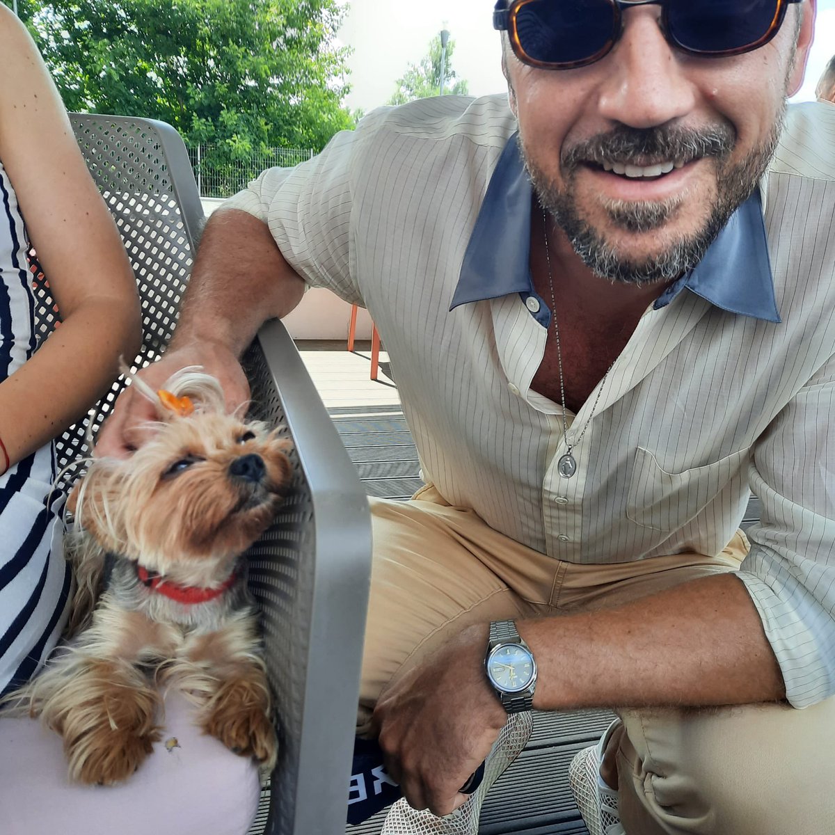 Cherry 🍒 #dogsarethebestpeople