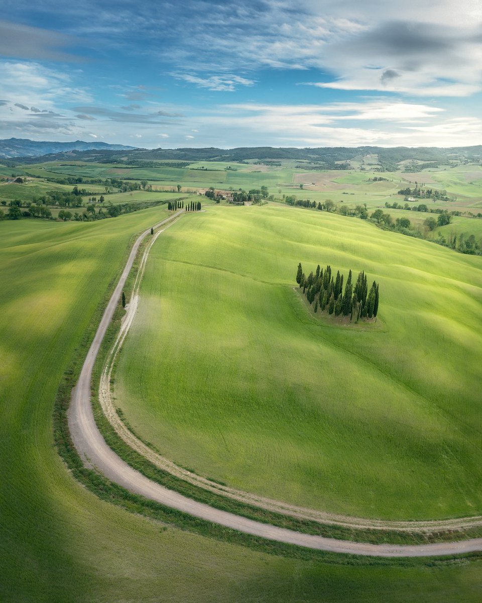 Aerial view of the famous cypresses of San Quirico d'Orcia. When the fields were still green. 
#sanquiricodorcia #cipressisanquiricodorcia #toscana #tuscany #tuscanylandscapes #Toscana #campagnasenese #siena #valdorcia #tuscanyexperience