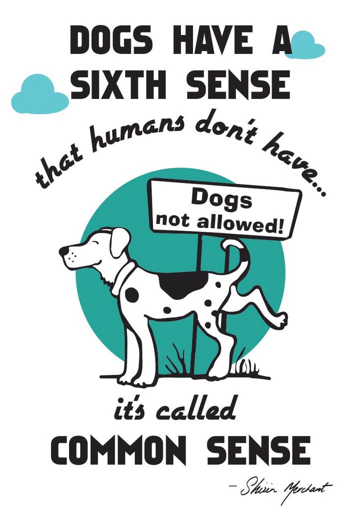 Are Dogs Allowed In The Range