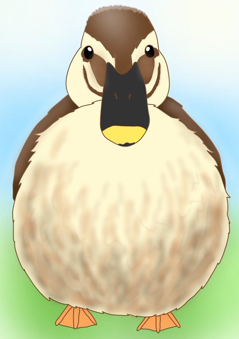カルガモのtwitterイラスト検索結果 カルガモのtwitterイラスト検索結果